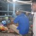 DPC Partai Demokrat Kab. Seram Bagian Barat Gelar Nonton Bareng Bersama Masyarakat Atas Pidato Politik AHY